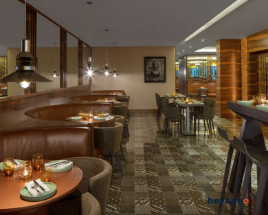 Radisson Blu Hotel Dubai Waterfront 131