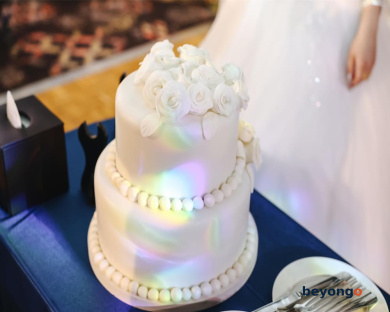 Radisson Blu Hotel Dubai Waterfront 236
