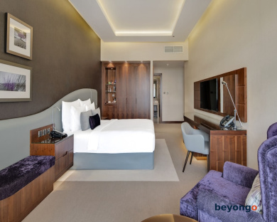 Radisson Blu Hotel Dubai Waterfront 25