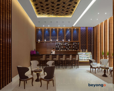 Radisson Blu Hotel Dubai Waterfront 250