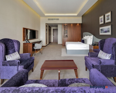 Radisson Blu Hotel Dubai Waterfront 29