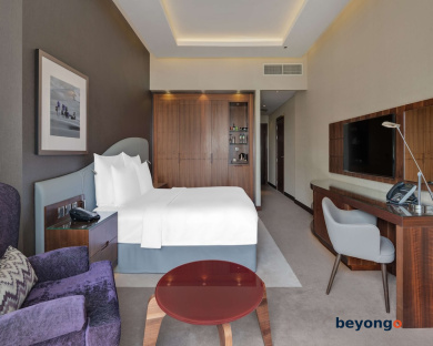 Radisson Blu Hotel Dubai Waterfront 36