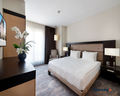 Ramada Plaza by Wyndham Istanbul City Center Adults Only 12