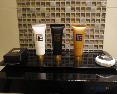 Renuka City Hotel 31