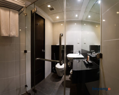 Renuka City Hotel 39