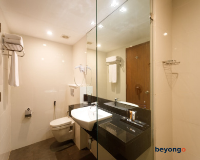 Renuka City Hotel 40