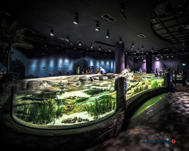 Resorts World Sentosa - Equarius Hotel 49