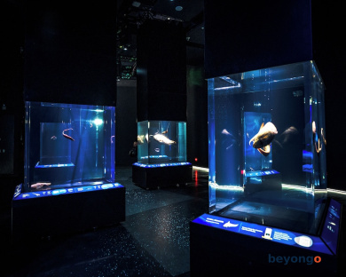 Resorts World Sentosa - Equarius Hotel 50