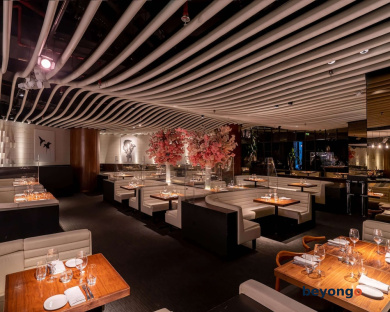Rixos Premium Dubai JBR 145