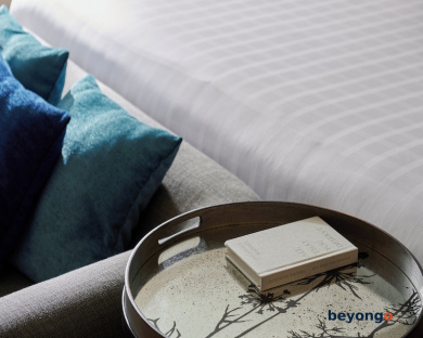 Shama Lakeview Asoke Bangkok 33
