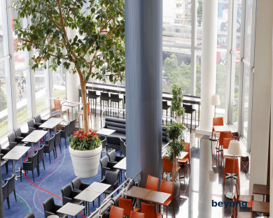 Shibuya Excel Hotel Tokyu 54