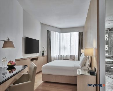 Singapore Marriott Tang Plaza Hotel 17