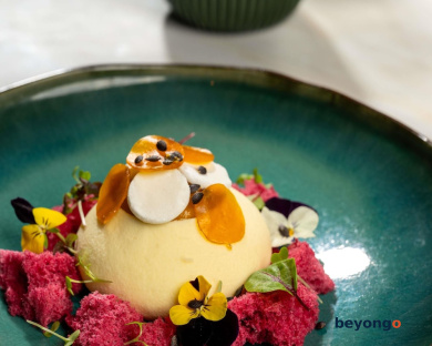 Sofitel Dubai Downtown 162