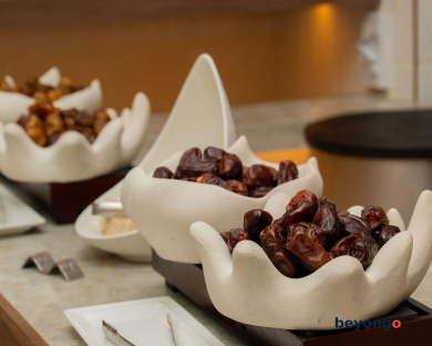 Sofitel Dubai Downtown 224