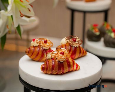 Sofitel Dubai Downtown 229