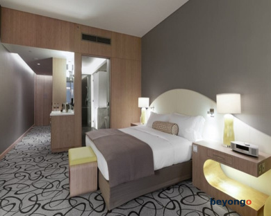 Sofitel Dubai Downtown 241