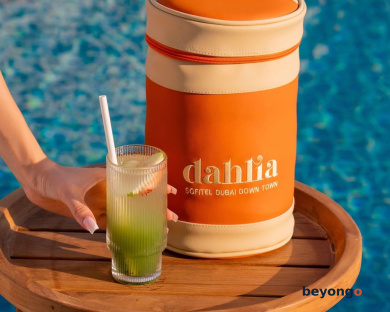 Sofitel Dubai Downtown 317