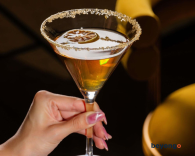 Sofitel Dubai Downtown 340