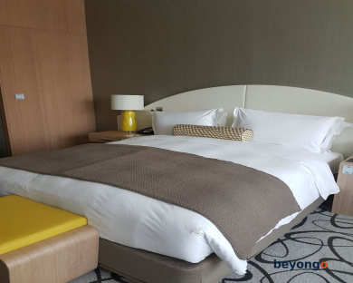 Sofitel Dubai Downtown 36
