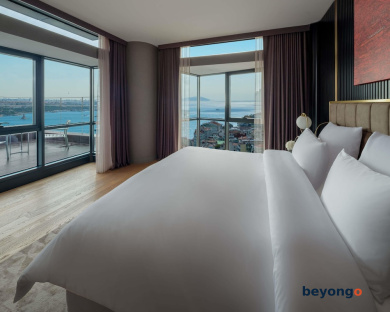 Sofitel Istanbul Taksim 101