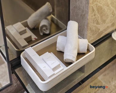 Sofitel Singapore City Centre 28