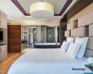 Swissotel The Bosphorus Istanbul 49