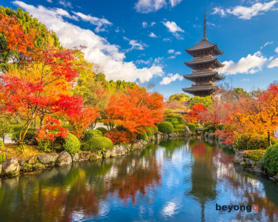 THE BLOSSOM KYOTO 134
