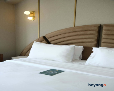 The Artisan Hotel Istanbul - MGallery Collection 22