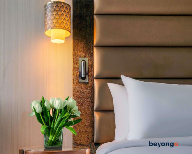 The Artisan Hotel Istanbul - MGallery Collection 64