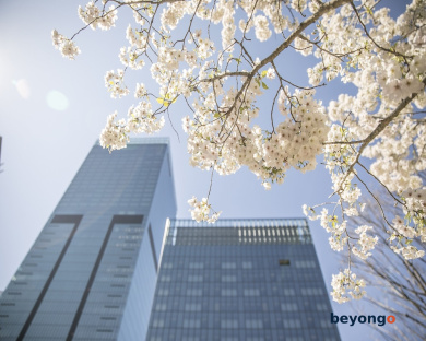 The Okura Tokyo