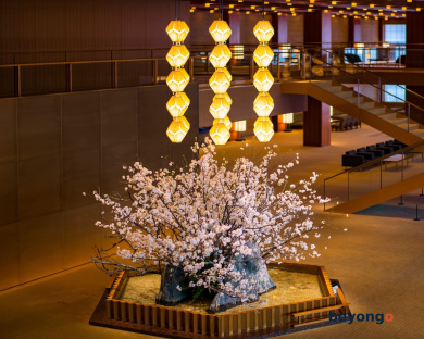 The Okura Tokyo 41