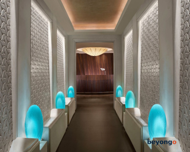 The Ritz-Carlton, Millenia Singapore 13