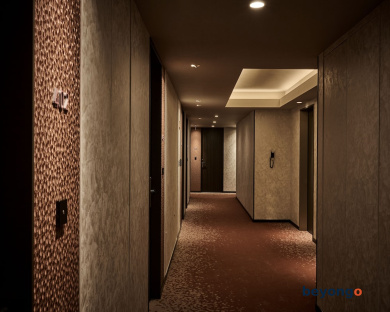 The Royal Park Canvas Ginza Corridor 103