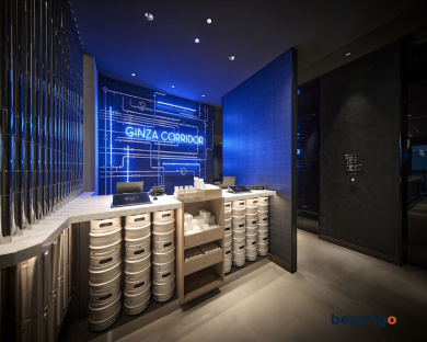 The Royal Park Canvas Ginza Corridor 11