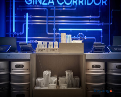 The Royal Park Canvas Ginza Corridor 12