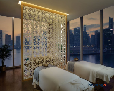 The St. Regis Downtown, Dubai 10