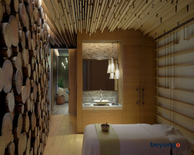 The St. Regis Downtown, Dubai 11