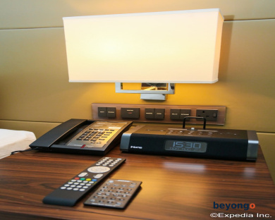 The Westin Singapore 47