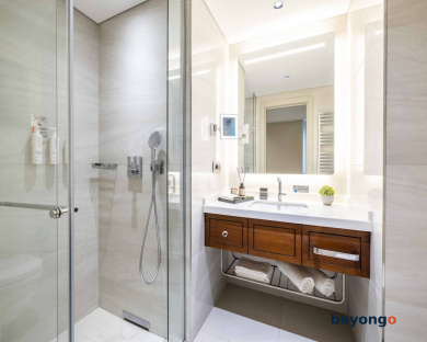 Tzl Suites 41