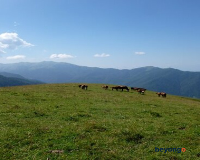 Fascinating Georgia 9