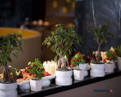 ibis Styles Istanbul Bomonti 121