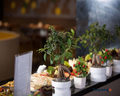 ibis Styles Istanbul Bomonti 127