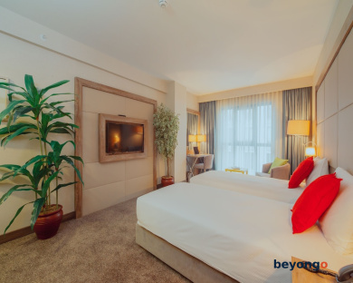 ibis Styles Istanbul Bomonti 19