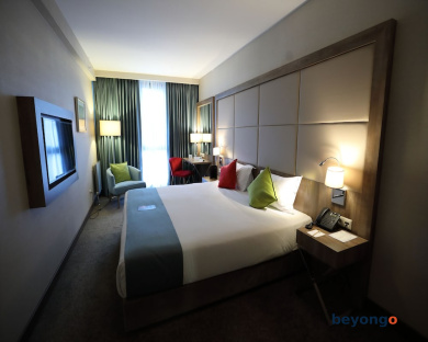 ibis Styles Istanbul Bomonti 38