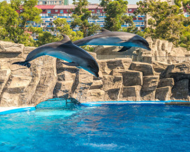 Pattaya Getaway 8