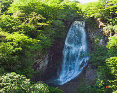 Wonders of Georgia 8